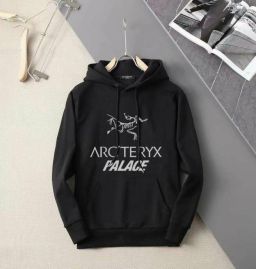 Picture of Arcteryx Hoodies _SKUArcteryxM-5XLkdtn029842